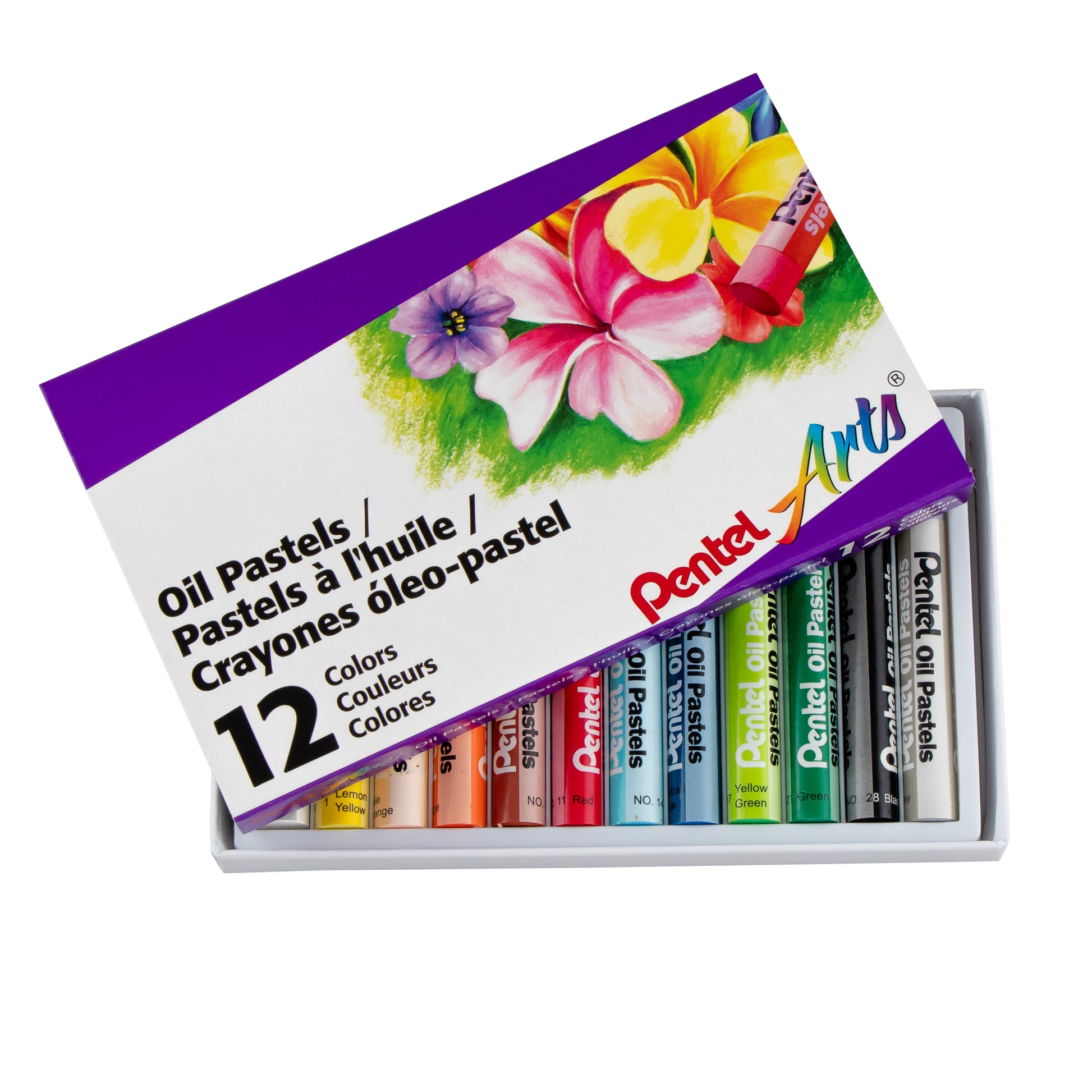 Pentel Oil Pastels Sticks, Brilliant Colors, 12 Color Artist Set Oil  Pastels, Colored Oil Pastels in Original Box Set of 12 Colours 