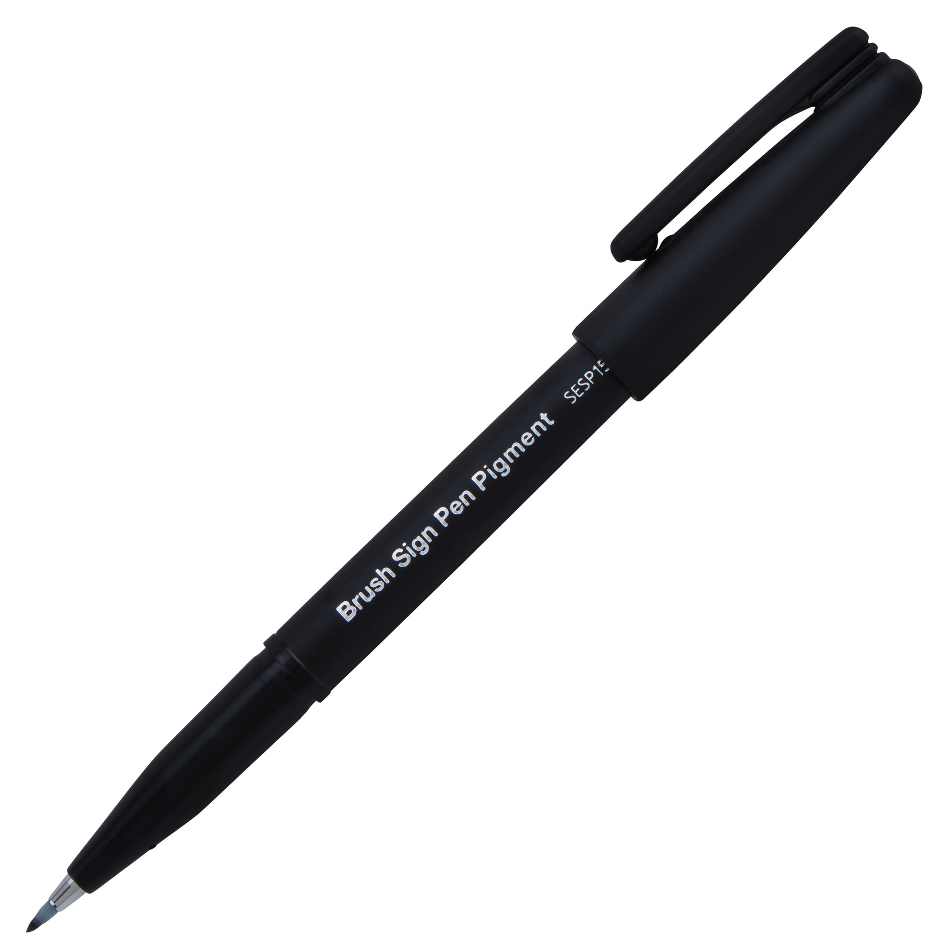 Pentel Brush Sign Pen - 12-pen set, new shades – Pen Pusher